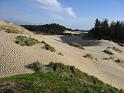 Oregon Dunes (3)